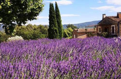 Goult House | Les Vendangeurs, gîte au milieu des vignes face au Luberon