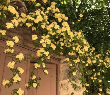 Montfort Bed & Breakfast | Les Vieux Murs