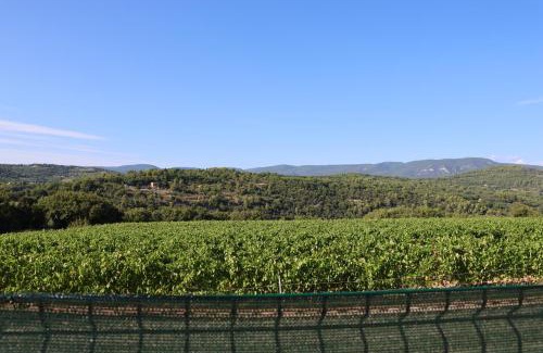 Saignon Apartment | Les Vignes du Luberon