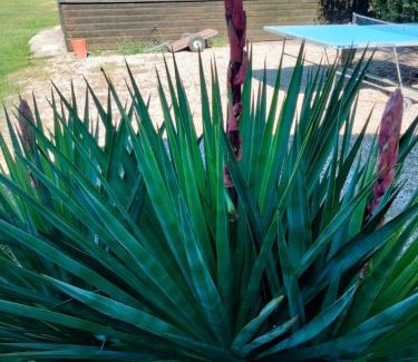 Saint-Antonin Noble Val Bed & Breakfast | Les Volets Verts