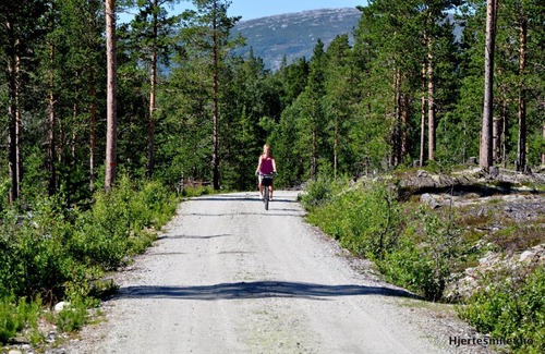 Lesja Other | Lesjaskogsvatnet Camping