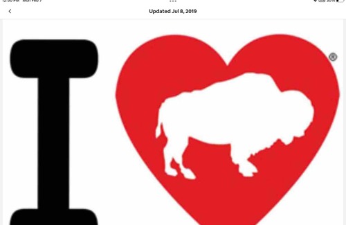 Buffalo House | Let’s go Buffalo/ Niagara Falls Home!