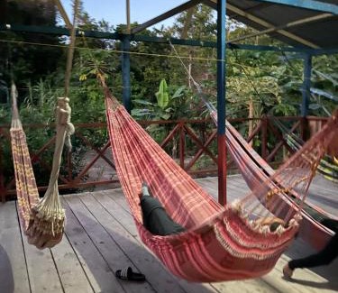 Yavari Other | Leticia Adventures
