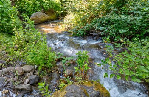 Sugar Pine House | Lewis Creek Hideaway- Hot Tub/EV/Pool Table/Historic