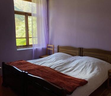 Mazeri House | Lia Jamdeliani Guest House