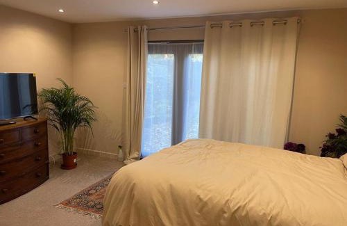 Shirley Apartment | Liberty House