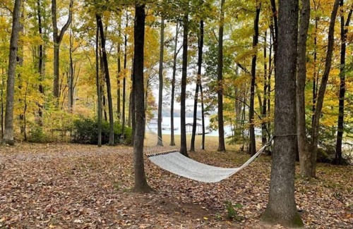 Bumpass House | License To Chill - Lakefront/Screened in Porch
