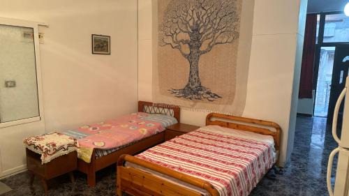 Permet Apartment | Lida Guest House
