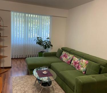Pitesti Apartment | Lidia