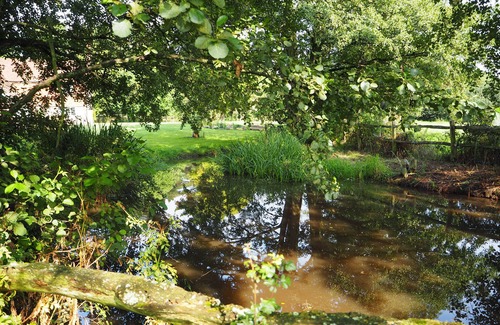 Pulborough House | Light airy studio conversion