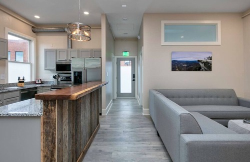 Roanoke Apartment | Light-filled adventure loft