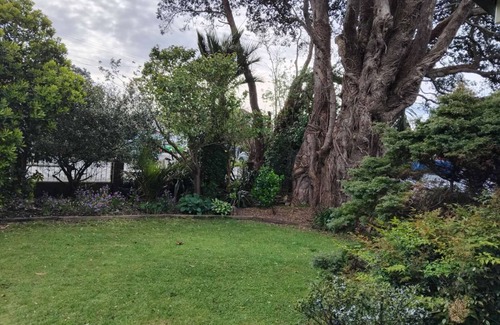 Westport House | Light Seed House