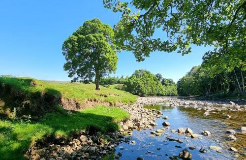 Redmire House | Lightfoot House
