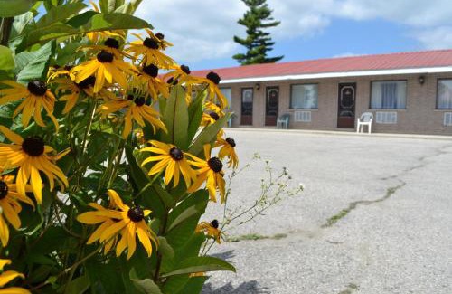 South Bruce Hotel | Lighthouse Motel