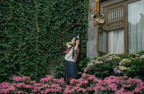 Dayan Old Town House | Lijiang Hearing Flower Hall Garden Inn Butterfly Language Shop