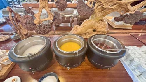 Guilin City Centre Hotel | Lijiang Riverside Luxury Hotel, Guilin