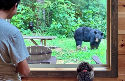 Gatlinburg Cabin | Like No Otter - Luxe Cabin - Hot Tub & Game Room - 1 Mi to Downtown Gatlinburg