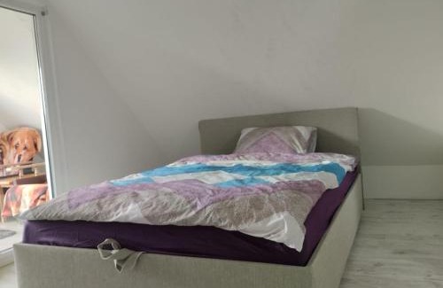 Zemgale Apartment | Likverteni HOME