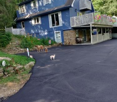 Gnaw Bone Bed & Breakfast | Lil Black Bear Inn