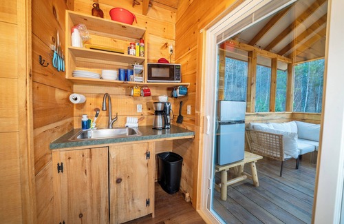 Cosby Cabin | Lil Cabin with Smoky Mountain Views close to hiking & short drive to Gatlinburg