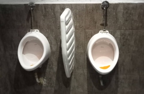 Udyog Vihar House | Lil roof inn