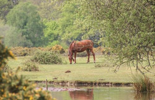 New Forest District House | Lilac Cottage