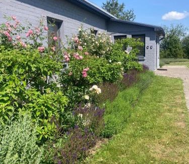 Saldus House | LillasLavender Kurzeme