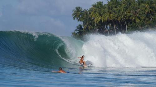 Nias Bed & Breakfast | Lilys Nias Surf Camp