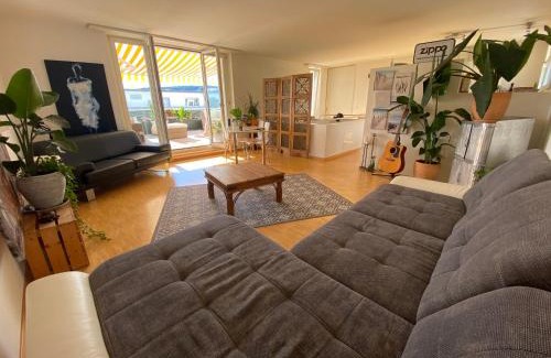 Gebenstorf House | Limmatspitz