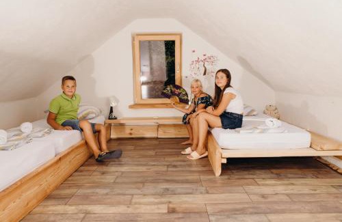 Lower Carniola Region House | LINCA Hiška pod slapom