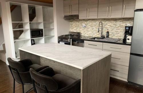 Sheffield Neighbors Apartment | Lincoln Park Light-Filled Loft