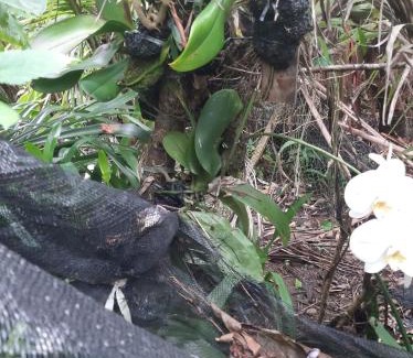 Peruibe House | Linda Pousada pra Final de Ano com Piscina a 5 Minutos da Praia