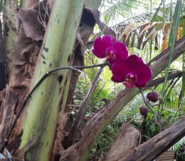Peruibe House | Linda Pousada pra Final de Ano com Piscina a 5 Minutos da Praia