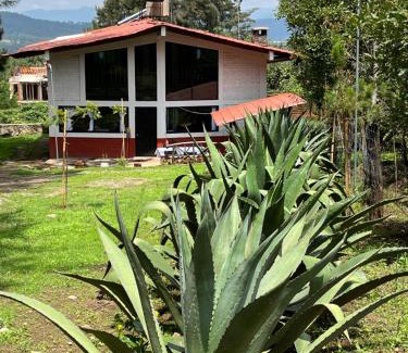Mazamitla House | Linda Vista 3