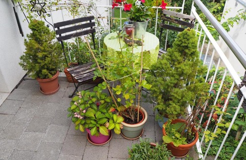 Muttenz Bed & Breakfast | Linde