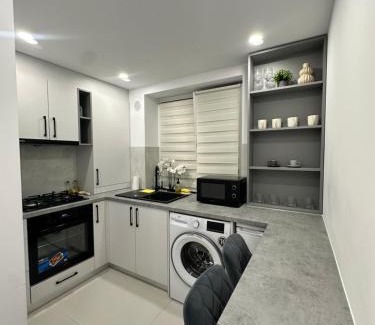 Radauti Apartment | LINIS House