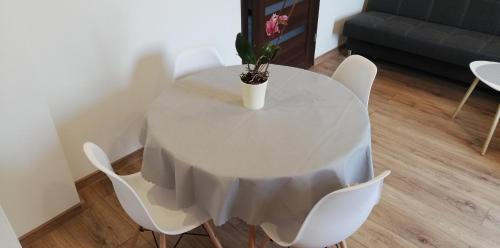 Andrychow Apartment | Lion Apartment