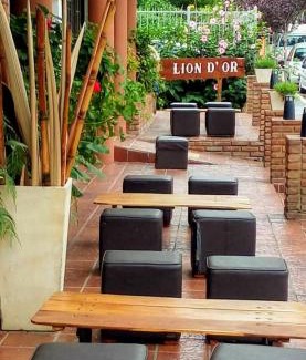 Villa Carlos Paz Hotel | Lion D`Or