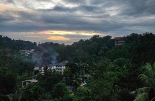 Peradeniya House | Lion Guest House