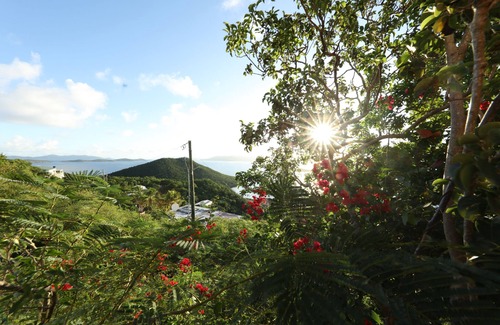 Red Hook Apartment | Lion's Gate Getaway- Lush Setting. Check for seasonal discounts
