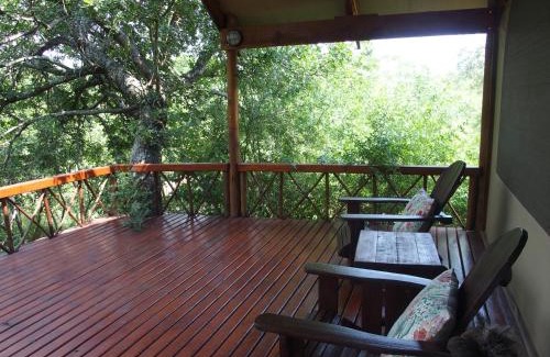 Thorny Bush Game Reserve Cabin | Lion Tree Top Lodge