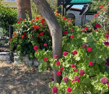 Asklipiio Hotel | Liros