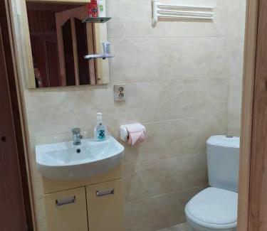 Mizhhirya Hotel | Lisnyi