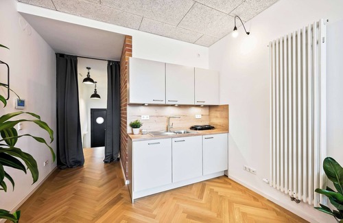 Neckarstadt-West Apartment | LiT LiVING: LuxusLoft | Box SprIng | Air Con | BBQ