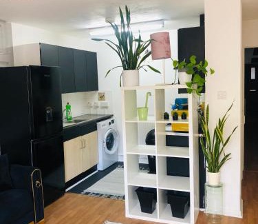 Junction Apartment | Little apartment 20 min from central London