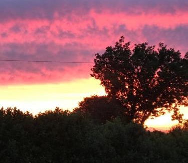 New Forest District Apartment | Little Banks Barn