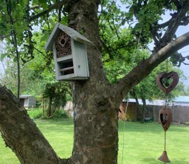 New Forest District House | Little Banks Cabin