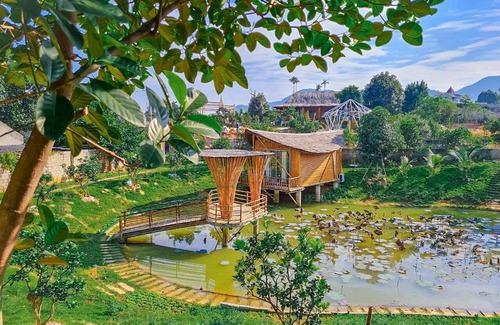 Quoc Oai Other | LITTLE BEE HOUSE