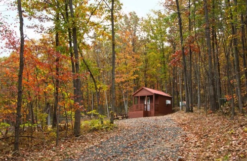 Luray Cabin | Little Bitty Cabin