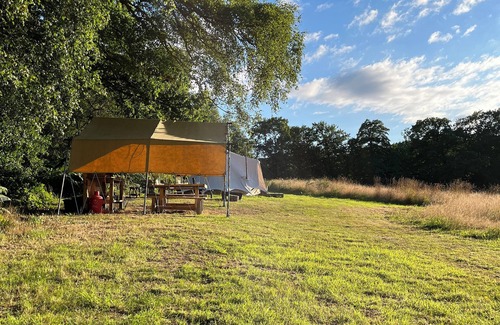 Cullompton RV Rental | Little bridge Camp.nSecluded camping in 13 acres of magical meadow and woodland.